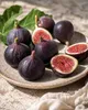 Ficus carica Ronde de Bordeaux 70–100 cm figovník Náhľad obrázku produktu 3