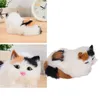 A collage of a plush cat toy, showing different angles and close-ups. Náhľad obrázku produktu