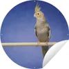 MuchoWow® Produktbild-Vorschau 1