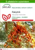 SAFLAX - rakytník - Hippophae rhamnoides - 40 Semena - S Náhled obrázku produktu 1