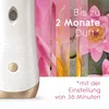 Glade by Brise Automatic Spray Relaxing Zen, Drinnen, 18 Produktbild-Vorschau 5