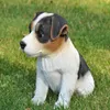 Figurine décorative de jardin Jack Russel Voir les images du produit 2