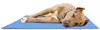 Kühlmatte für Hunde und Katzen RAGI 90x50 cm selbstkühlend Produktbild-Vorschau 4