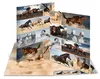 HERMA Sammelmappe A3 Pferde Pappe Produktbild-Vorschau 4