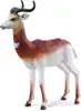 Albatros Wanderer L - Tierfigur Produktbild-Vorschau 4