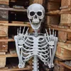 Lebensgroßes Skelett 170 cm, Grau, aus Kunststoff mit Produktbild-Vorschau 6