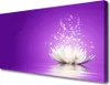 Tulup Leinwand-Bilder 100x50 Wandbild Canvas Kunstdruck Produktbild-Vorschau 1