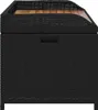 vidaXL Banc avec espace de rangement noir 100x50x52 cm Poly Voir les images du produit 7