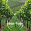 GARDIGO Solar Vogelscheuche 60091 Produktbild-Vorschau 3