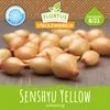 Artikelbild 2 von 'Wintersteckzwiebel Senshyu Yellow' aus der Kategorie Wintersteckzwiebeln Produktbild-Vorschau