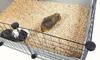C&C 5x2 Modulkäfig für Meerschweinchen, Kaninchen, Igel, Produktbild-Vorschau 6