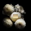 Antonio Banderas Her Golden Secret Eau de Toilette 80ml Voir les images du produit 4