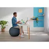 Leitz Ergo Cosy Grey Indoor Round Náhled obrázku produktu 19