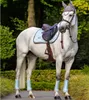 Equestrian Stockholm Dressurgamaschen Ice Blue Mesh Produktbild-Vorschau 5