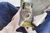 MuchoWow® Handyhülle Schutzhülle Hülle für Samsung Galaxy Produktbild-Vorschau 3