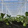 Jiubiaz Unkrautvlies Gartenvlies Schutzvlies Unkrautfolie Produktbild-Vorschau 5