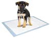 Karlie Training Pads Puppy M Trempage Transparent 60x40 cm Voir les images du produit 1
