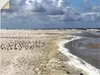 ARTland Wandbild, selbstklebend Am schönen Nordseestrand Produktbild-Vorschau 1