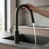 Kuchyňská Baterie Rea Fresh Touch Černý Náhled obrázku produktu 2