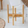 NEST Portafiori universale - Portafiori regolabile in bambù Anteprima dell’immagine prodotto 6