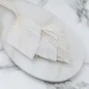 Palmenspeer Getrocknete - (Palm Spear) - Gebleicht Produktbild-Vorschau 2