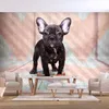Vlies Fototapete - French Bulldog 150x105 cm Tiere Produktbild-Vorschau 2