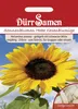 Sonnenblume riesenblumig | Sonnenblumensamen von Dürr Samen Produktbild-Vorschau 3