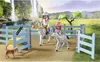 PLAYMOBIL Konie z wodospadu 71351 Ranczo nad wodospadem Podgląd zdjęcia produktu 12