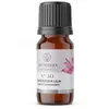 Huile de parfum Aromatique Starry Lili, senteur Lys, 12ml Voir les images du produit 2