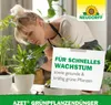Neudorff Azet GrünpflanzenDünger - 250 ml Produktbild-Vorschau 7