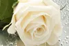 Vlies Fototapete DETAIL EINER WEIßEN ROSE 375 x 250 cm Produktbild-Vorschau 2