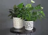 Lamela planter DUET w/cream+v/anthracite Ø 190 mm 200 mm Voir les images du produit 2
