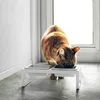 Yamazaki gamelle chat chien gamelle eau gamelle double Voir les images du produit 17