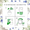 Air Wick Duftölflakon eCom Starter-Set Baumwolle & Weißer Produktbild-Vorschau 9