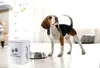 A beagle dog stands next to a dog food storage container and a food bowl in a bright room. Produktbild-Vorschau