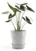 Untersetzer Ecopots mit Rollen Kunststoff Ø 34,1 cm H 9 cm Produktbild-Vorschau 4