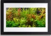 Bild 30x20 MDF-Rahmen Wandkunst Aquarium Fische Pflanzen Produktbild-Vorschau 1