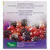 Air Wick Wohlfühl Duftkerze Brombeerblüte & Cranberry105g Produktbild-Vorschau 5