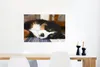 MuchoWow® Poster Liebenswerter Berner Sennenhund schläft Produktbild-Vorschau 5