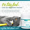 Dental Pulver | Natürliche Zahnreinigung für Hunde & Katzen Produktbild-Vorschau 6