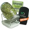 Vitaja Sprossenglas Keimglas Set mit Keramikschale - Set Produktbild-Vorschau 1