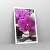 Poster - Poster ohne Rahmen - Orchidee Bambus Dekoration Produktbild-Vorschau 7