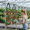2 Stück hängende Erdbeer-Pflanzsäcke 25×60cm mit 8 Löchern, Produktbild-Vorschau 7