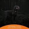 Weenect Weenect Tracker Hund Weiß Produktbild-Vorschau 11