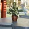 Pot en céramique rond avec soucoupe brun foncé 25 cm Voir les images du produit 17