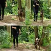 guinzaglio multifunzionale lionto, guinzaglio per cani Anteprima dell’immagine prodotto 10