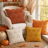 Cuscini decorativi a tema autunnale, 45x45 cm, design Anteprima dell’immagine prodotto 7
