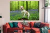 MuchoWow® Poster Ein Beagle in einem bunten Wald 180x120 cm Produktbild-Vorschau 2