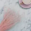 Federgras Getrocknete - (Stipa pennata) - Rosa Produktbild-Vorschau 4