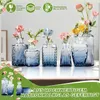 LARS360 24 pièces petits vases de bar en verre, mini set de Voir les images du produit 4